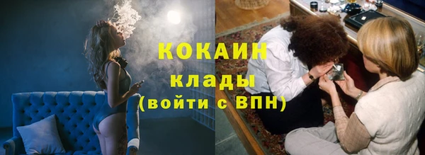 винт Гусев
