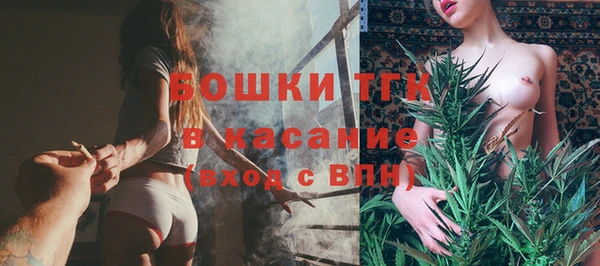 винт Гусев