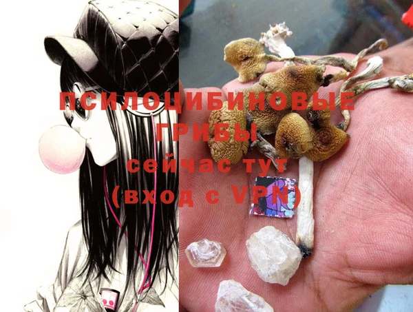 mdma Гусиноозёрск