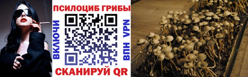где купить наркоту  Мытищи  Псилоцибиновые грибы Magic Shrooms 